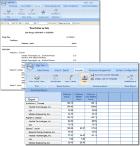 Example Summary and Detail Reports